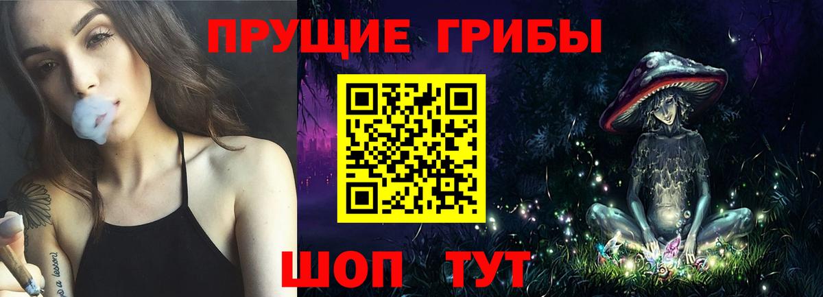 Псилоцибиновые грибы прущие грибы  Вход с VPN  Светлоград 